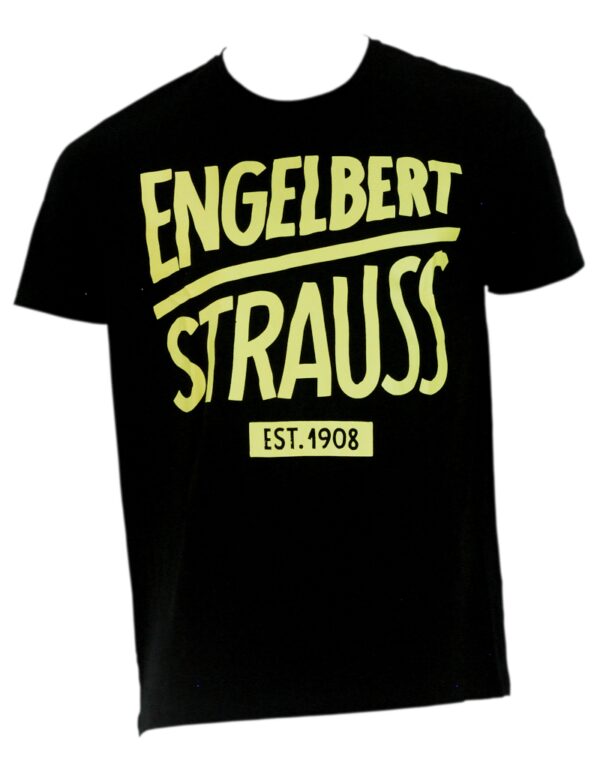 T-shirt Engelbert Strauss e.s czerwono żółta